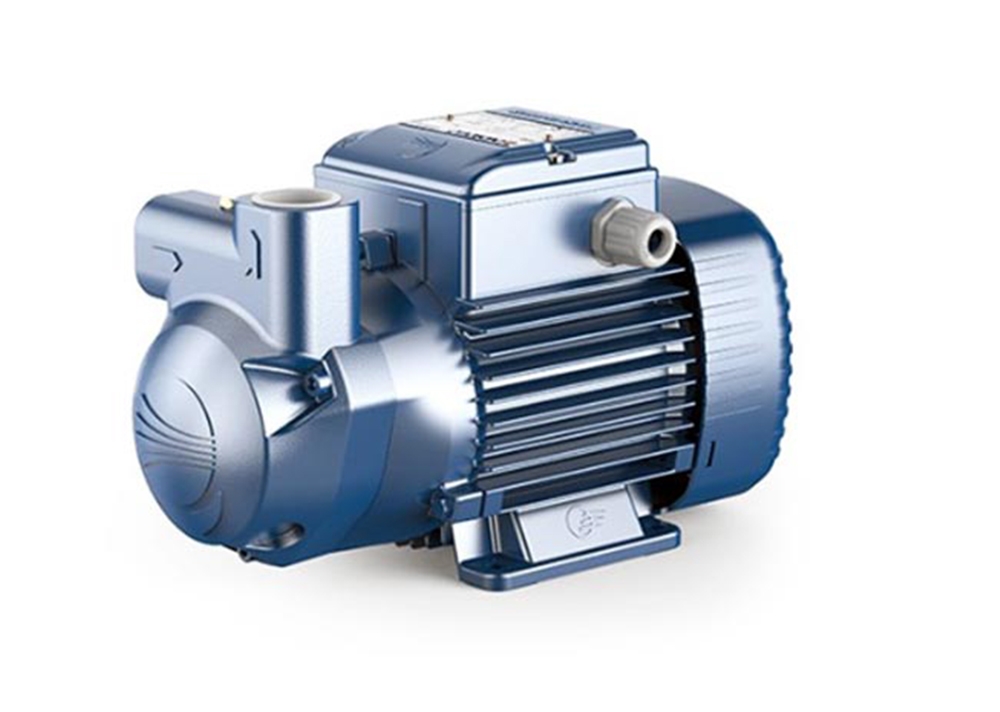 CK Pedrollo Water Pump