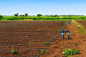 Smart Irrigation for Sustain...