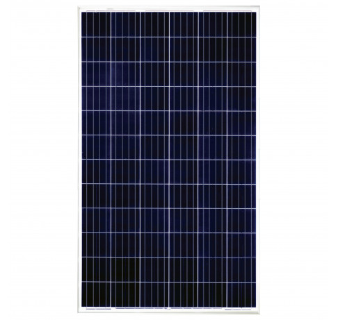 Dayliff 150W  Multicrystalline Solar Module 24VDC