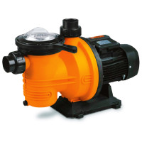 Dayliff DPL750 0.75kW Pool Pump