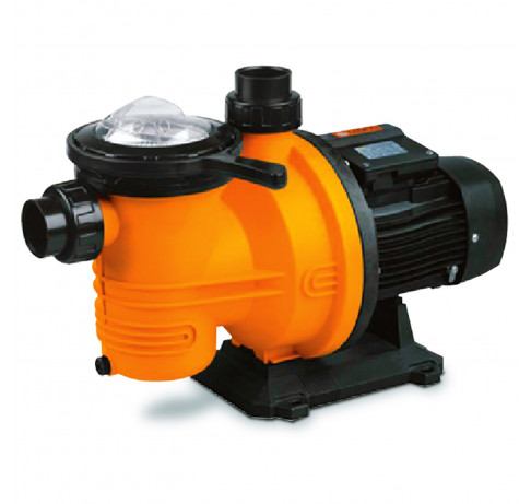 Dayliff DPL1100VS Variable Speed Pool Pump