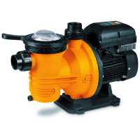 Dayliff DPL1100 1.1kW Pool Pump