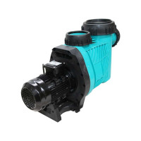 DPSOLAR 600 Pool Pump